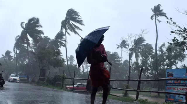 20250614101124_Kerala-rain