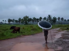 സംസ്ഥാനത്ത് അടുത്ത 5 ദിവസം ശക്തമായ മഴയ്ക്ക് സാധ്യത ; ഇന്ന് രണ്ട് ജില്ലകളില് യെല്ലോ അലേര്ട്ട്